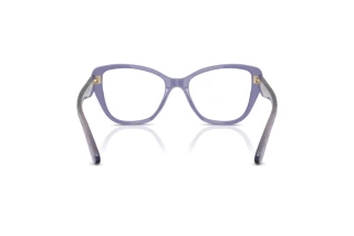 [glasses-back-view] Coach HC6255U (5864)