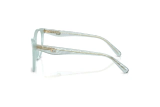 [glasses-side-view] Coach HC6256U (5865)