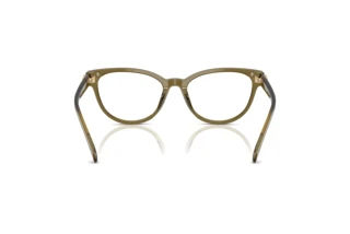 [glasses-back-view] Coach HC6258U (5072)