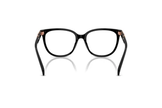 [glasses-back-view] Coach HC6260U (5002)