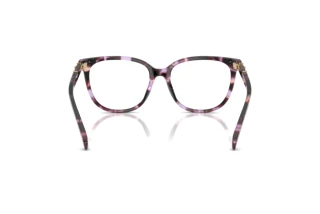 [glasses-back-view] Coach HC6260U (5612)