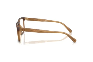 [glasses-side-view] Coach HC6263U (5876)