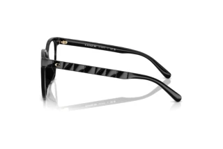 [glasses-side-view] Coach HC6267D (5002)