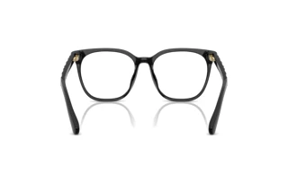 [glasses-back-view] Coach HC6267D (5002)