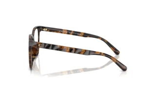 [glasses-side-view] Coach HC6267D (5120)