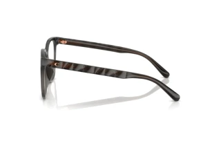 [glasses-side-view] Coach HC6267D (5897)