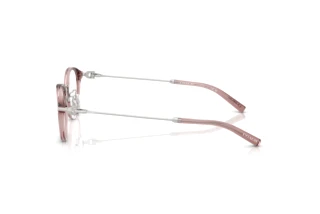 [glasses-side-view] Coach HC6268D (5568)