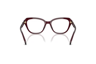 Vedere din spate Coach HC6273U (5915)