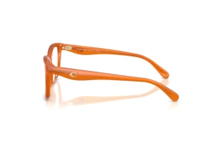 [glasses-side-view] Coach HC6286U (5930)