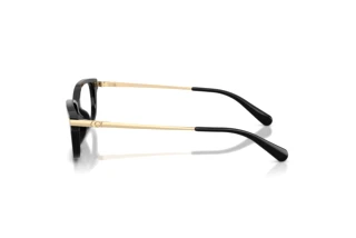 [glasses-side-view] Coach HC6287U (5002)