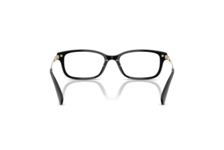 [glasses-back-view] Coach HC6287U (5002)