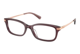 [glasses-front-view] Coach HC6287U (5942)