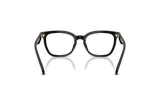 [glasses-back-view] Coach HC6288U (5002)