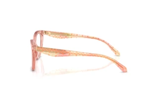 [glasses-side-view] Coach HC6289U (5943)