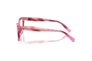 [glasses-side-view] Coach HC6290U (5941)