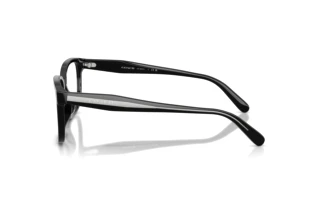 [glasses-side-view] Coach HC6291U (5002)
