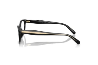 [glasses-side-view] Coach HC6293U (5002)
