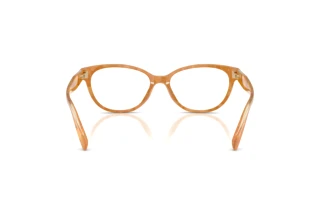 [glasses-back-view] Coach HC6293U (5939)