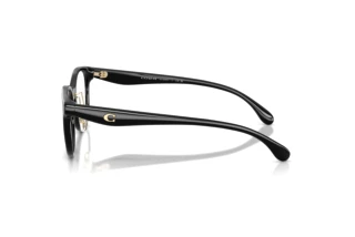 [glasses-side-view] Coach HC6294D (5002)