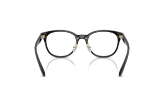 [glasses-back-view] Coach HC6294D (5002)