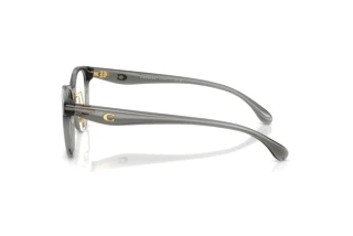 [glasses-side-view] Coach HC6294D (5104)