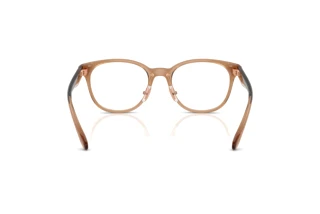 [glasses-back-view] Coach HC6294D (5948)