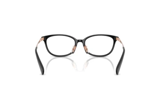 [glasses-back-view] Coach HC6295D (5002)