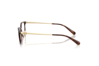 [glasses-side-view] Coach HC6295D (5120)