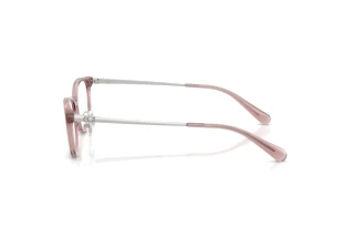 [glasses-side-view] Coach HC6295D (5677)