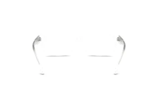 [glasses-back-view] Diesel DL4002 (2005)