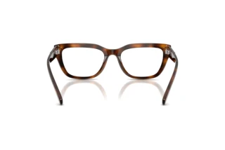 Πίσω όψη Diesel DL4003 (2021)