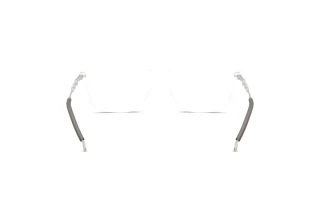 Vy bakifrån Diesel DL4006 (2006)