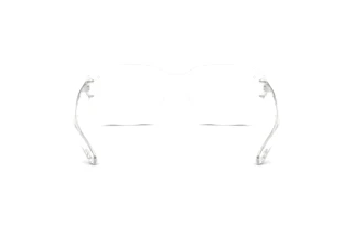 Vedere din spate Diesel DL4009 (2005)