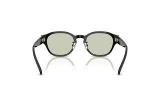 [glasses-back-view] Diesel DL4011D (2063)