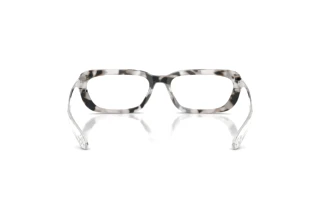 Vedere din spate Diesel DL4012 (721)