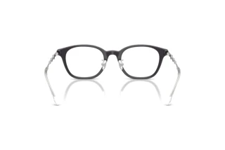 Vedere din spate Diesel DL4013D (2027)