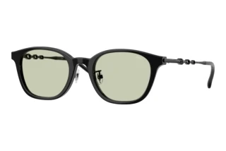 [glasses-front-view] Diesel DL4013D (2063)