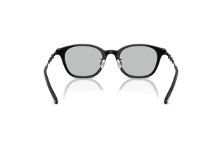 Vy bakifrån Diesel DL4013D (2064)