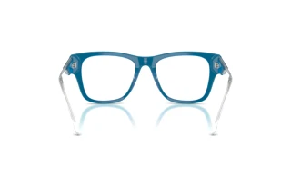 Vy bakifrån Diesel DL4019U (2051)