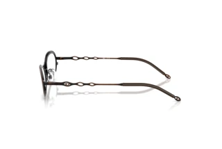 [glasses-side-view] Diesel DL5001 (1025)