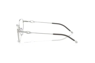 [glasses-side-view] Diesel DL5003 (1001)