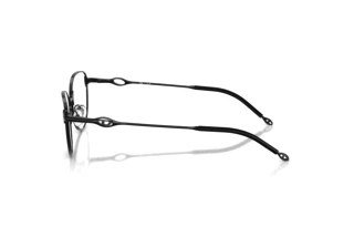 [glasses-side-view] Diesel DL5003 (1002)