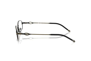 [glasses-side-view] Diesel DL5004D (1029)