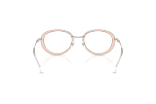 Vedere din spate Diesel DL5010 (1042)