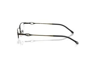 [glasses-side-view] Diesel DL5011D (1029)