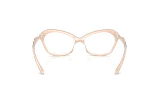 Vedere din spate Diesel DL6003U (2034)