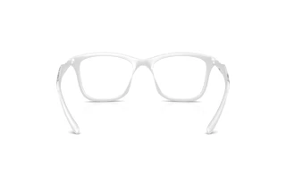 Vedere din spate Diesel DL6004U (2029)