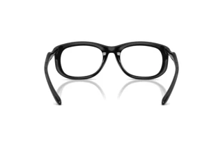 Vedere din spate Diesel DL6006U (2001)