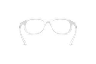 Vedere din spate Diesel DL6006U (2029)