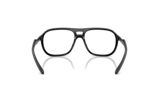 [glasses-back-view] Diesel DL6008U (2001)